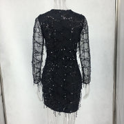 Women's Spring/Summer Sequined Bodycon Dress