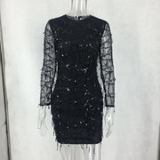 Women's Spring/Summer Sequined Bodycon Dress